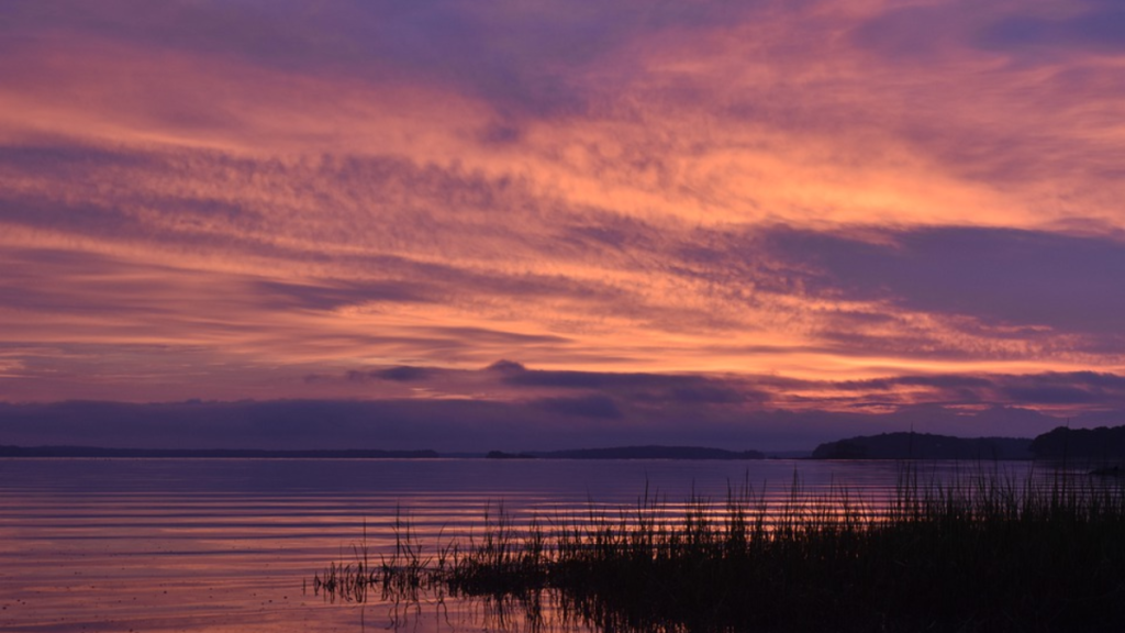 Maine Beach