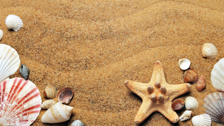 beach